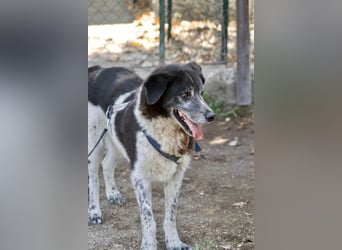 Cambiamento - lasst uns sein Leben verändern