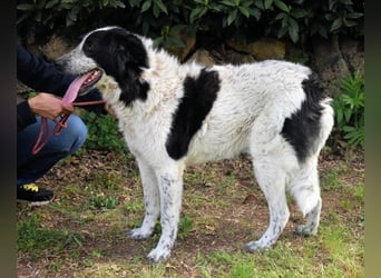 Jessie - Wer nicht neugierig ist, erfährt nichts