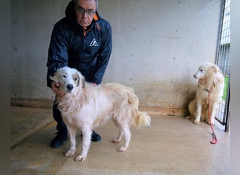 Bailoch - Zeig mir doch bitte...