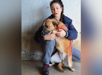 Sunitha - Drei Leben. Drei Chancen.