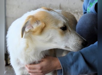 Liuba - sucht ihren Platz im Leben