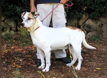 Argo - hungrig auf Leben und Er-Lebnisse