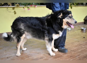 Oliverio - ohne Anklage hinter Gittern