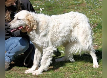 Kastore - Die Welt erkunden!