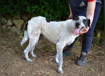 Medwin - Wo ist denn nun das wahre Leben?