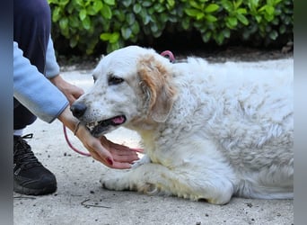 Kastore - Die Welt erkunden!