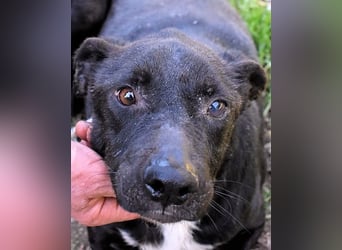 Rhino - NOTFALL !!! - Wenn man nicht auffällt, geht man unter