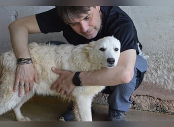 Sadye - Liebevolle Zuwendung....