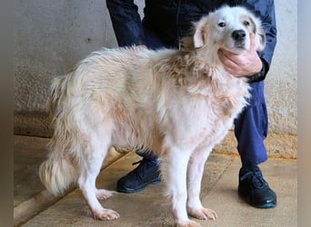 Bailoch - Zeig mir doch bitte...