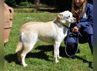 Ulbrecht - Ein kurzer Hauch von Gras