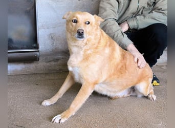 Ariana - lange sitzen sie schon da und haben es schwer