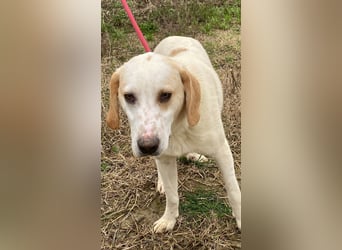 Deddy -  Mit neugierigen Pfoten ins Leben