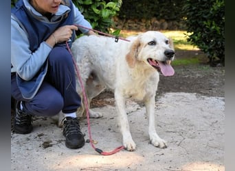 Kastore - Die Welt erkunden!