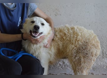 Sadye - Liebevolle Zuwendung....