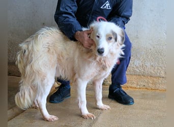 Bailoch - Zeig mir doch bitte...