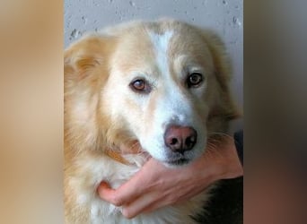 Tirvian - Kurz Alarm, dann Charme