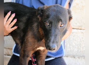 Ouzo - "Und wenn sie nicht weg sind......