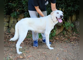 Dafnielle - Zukunft gesucht