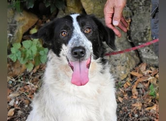 Jessie - Wer nicht neugierig ist, erfährt nichts