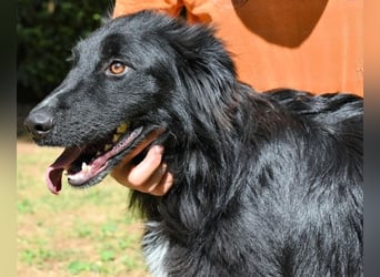 Settimio - Ich bin da, jetzt läuft's!?