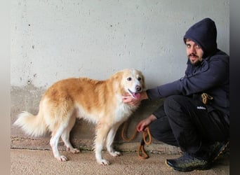 Tirvian - Kurz Alarm, dann Charme