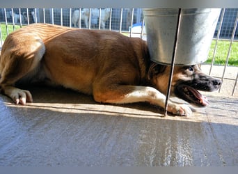 Sunitha - Drei Leben. Drei Chancen.