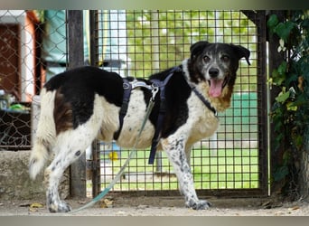 Cambiamento - lasst uns sein Leben verändern