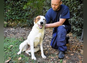 Miah - wohn"haft" in einem Hundelager