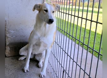 Liuba - sucht ihren Platz im Leben