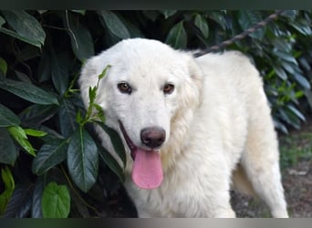 Florenz - bereit für das Abenteuer Leben