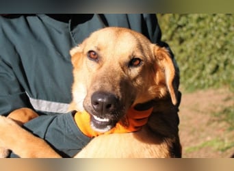 Kairo - möchte einfach nur genießen