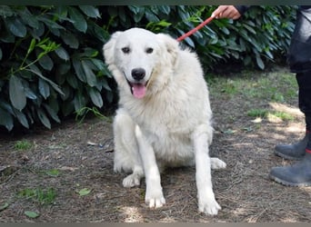 Franky - bereit für das Abenteuer Leben