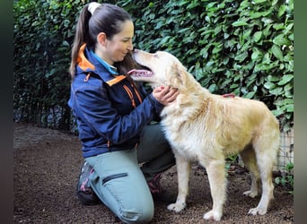 Rodman - läuft sich die Seele wund