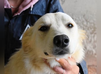 Sadye - Liebevolle Zuwendung....