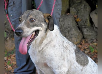 Helder - spricht für sich