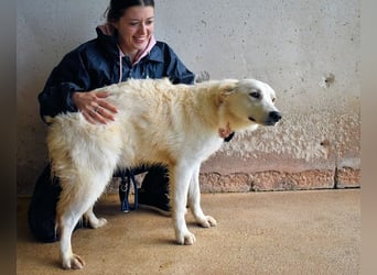 Sadye - Liebevolle Zuwendung....
