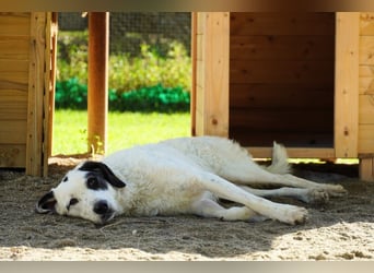 Marni - Bereit für ihr eigenes kleines Glück