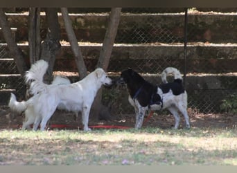 Cambiamento - lasst uns sein Leben verändern