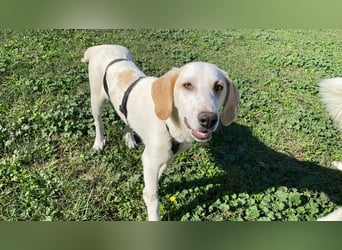 Deddy -  Mit neugierigen Pfoten ins Leben