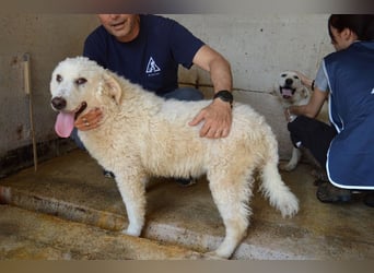 Abreena - Selbstbewusst, verspielt und voller Zuneigung