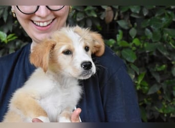 Marula - ...und Mama konnte es dir nicht zeigen