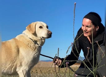 Patty - Vorsichtig auf den Pfoten, groß im Herzen