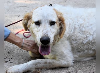 Kastore - Die Welt erkunden!