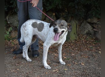 Helder - spricht für sich