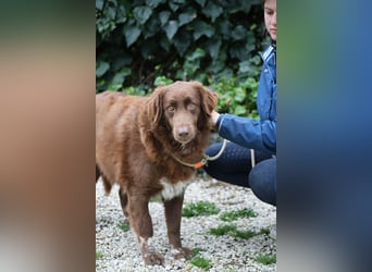 Beckey - Berufswunsch Prinzessin