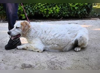 Kastore - Die Welt erkunden!