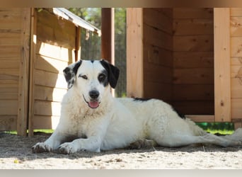 Marni - Dieses Herz hat schon zu lange gewartet