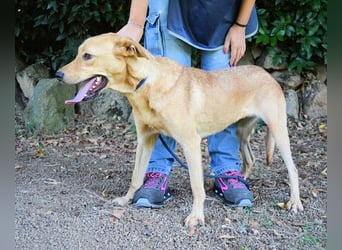 Lilyrose - als kleine Muschel ins Glück!