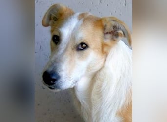 Liuba - sucht ihren Platz im Leben