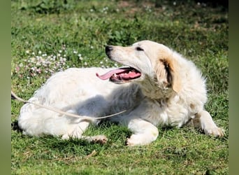 Kastore - Die Welt erkunden!